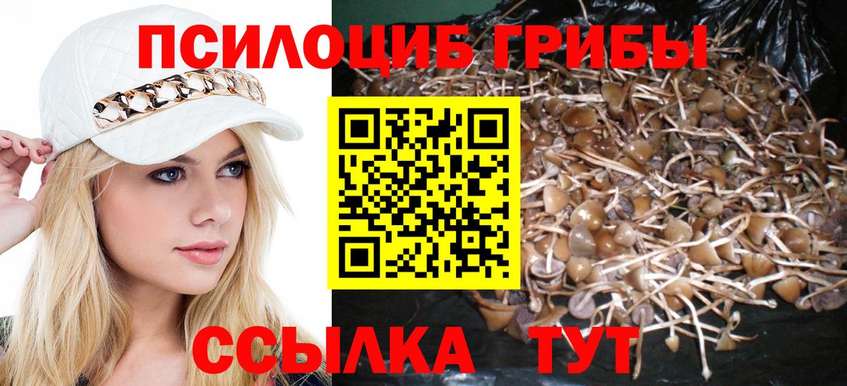Псилоцибиновые грибы Psilocybe Ростов-на-Дону