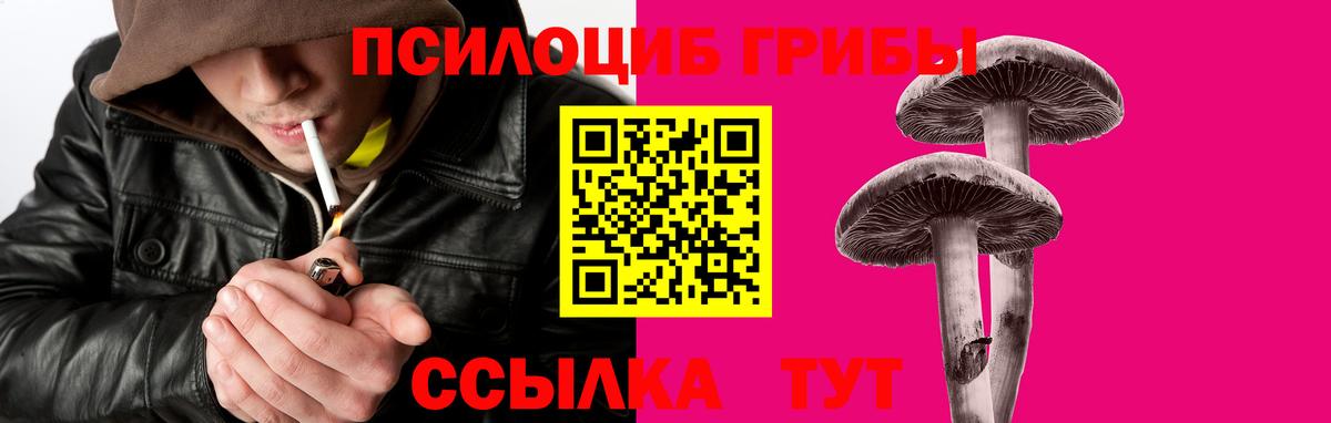 Псилоцибиновые грибы Magic Shrooms  Вход с VPN  хочу наркоту  Псилоцибиновые грибы Cubensis  Ростов-на-Дону 
